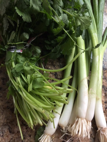 cilantro and green onions