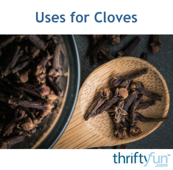 Uses for Cloves ThriftyFun