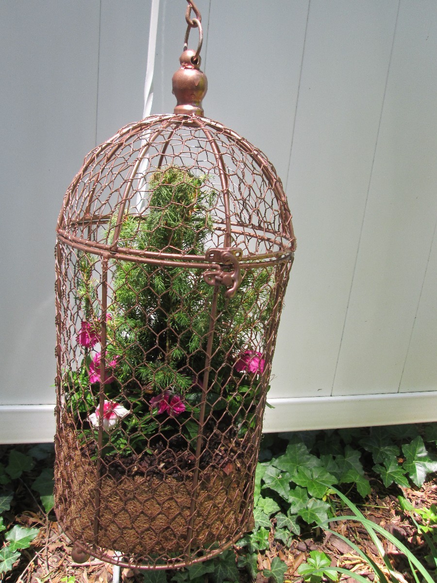 Using Bird Cages As Outdoor Planters ThriftyFun