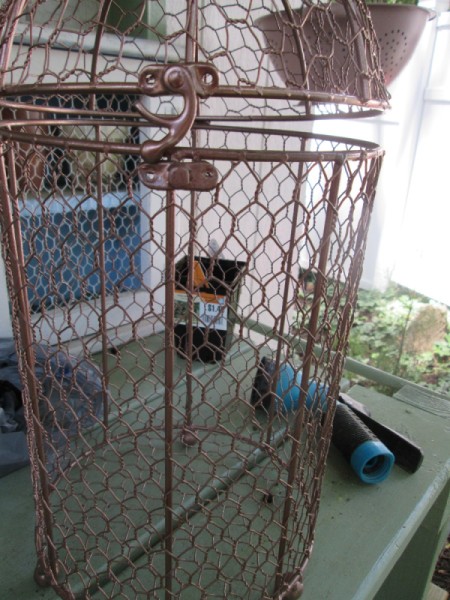 Using Bird Cages As Outdoor Planters - large cage