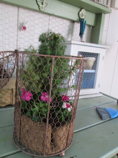 Using Bird Cages As Outdoor Planters - large cage planted