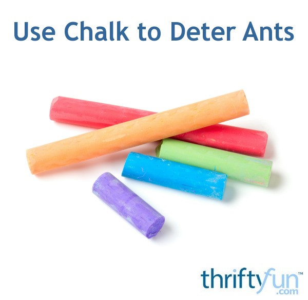 Use Chalk to Deter Ants ThriftyFun