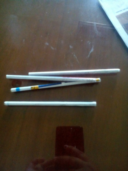 Newspaper Pen Organizer - finished rolls