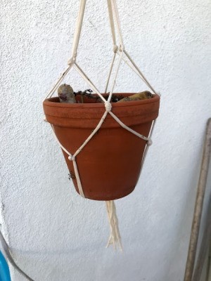 DIY Macrame Plant Hangers - pot hanging