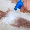 Spraying carpet stain.