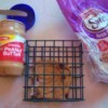Bird Suet Substitute - peanut butter on raisin bread in a suet holder