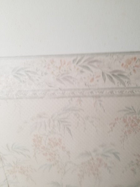 Finding Discontinued Wallpaper  - matching border