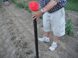 Planting Seed in the Garden - man using the planting stick in the garden