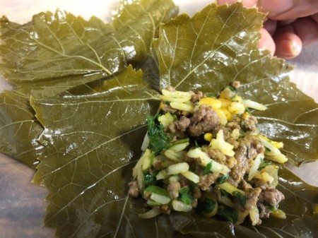 Stuffing laid on Grape Leaf (Dolmeh)