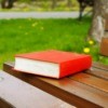 Red book on a park bench.