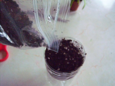 How to Make a Recycled Water Bottle Planter - fill with soil