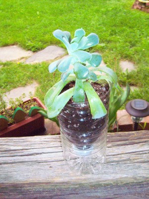 How to Make a Recycled Water Bottle Planter - plant on railing outside