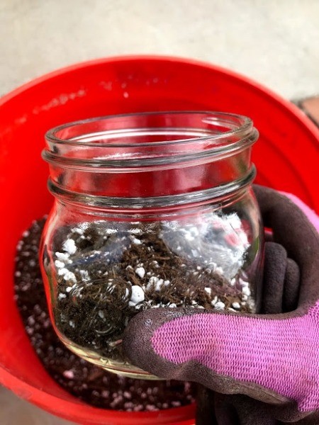 Succulent Planter Gift - jar half filled with soil