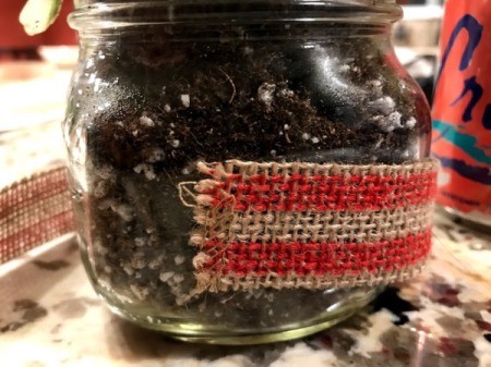 Succulent Planter Gift - one end glued to jar