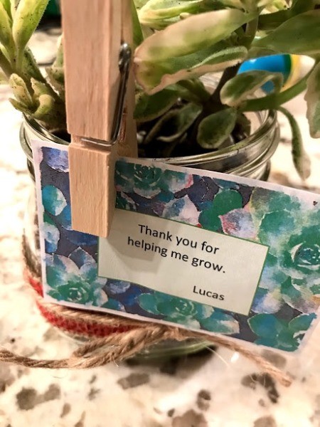 Succulent Planter Gift - clothespin holding on note, closeup