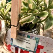 Succulent Planter Gift - finished planter