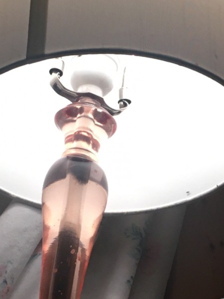 Getting Rid of Tiny Flying Bugs Inside - tiny bug on lamp shade