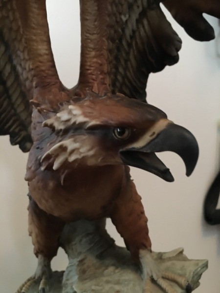Information on a G Armani Eagle