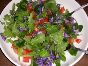 A green salad with fresh ingredients and purple flowers.