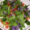 A green salad with fresh ingredients and purple flowers.