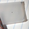 Identifying a Tiny Bug - tiny brown bug