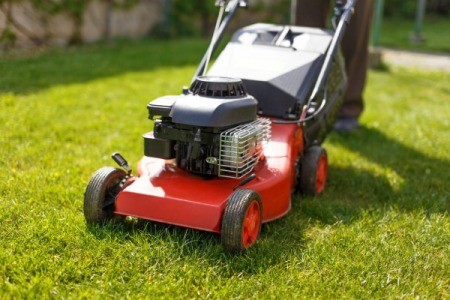 Red lawn mower on fresh cut grass.