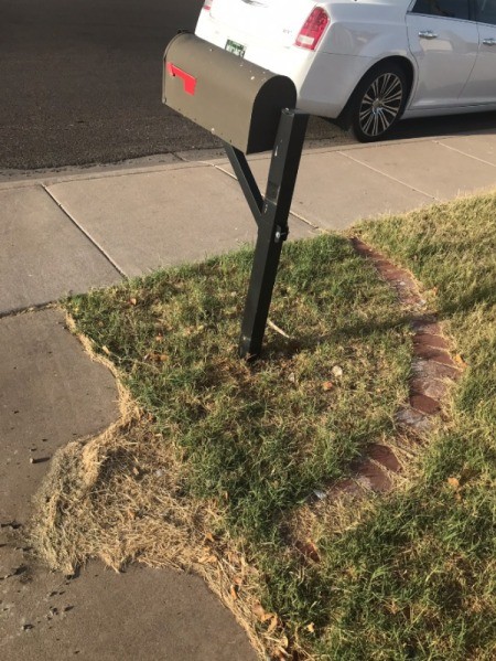 Getting Rid of Grass and Weeds - rocky, weedy, grassy spot