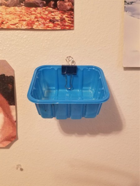 A mushroom tub on a wall being held up with a binder clip and a pushpin,