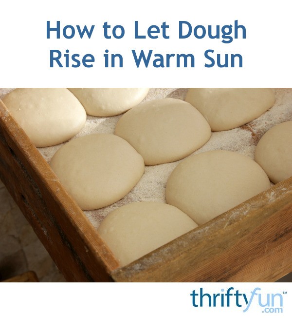 How to Let Dough Rise in Warm Sun ThriftyFun