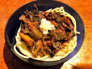 Hearty Kale Pasta Sauce over noodles