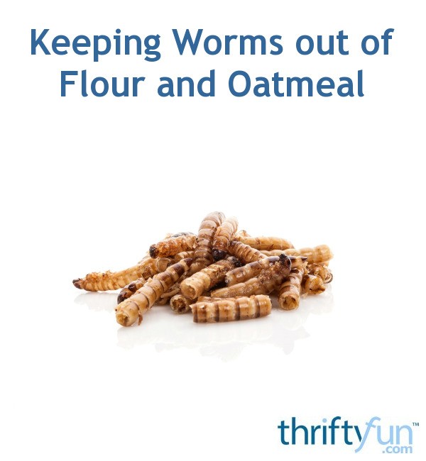 Keeping Worms out of Flour and Oatmeal ThriftyFun