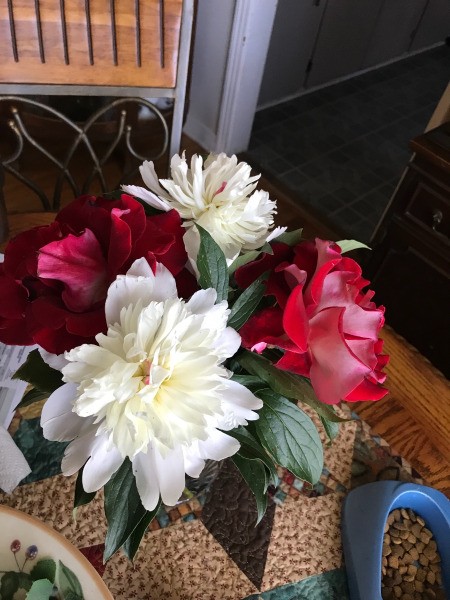 Debra''s Peonies - white peonies in vase with red roses