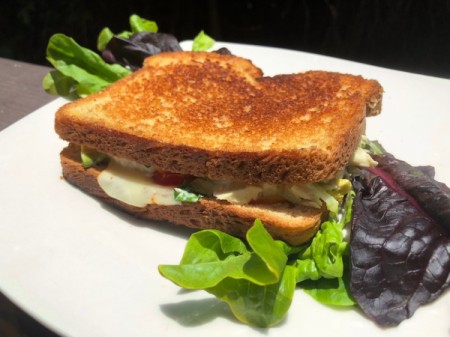 Veggie Tuna Melt on plate