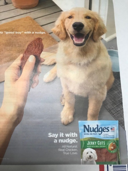 Greeting Cards from Magazines - skim pages for images for cards