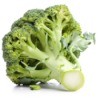 Head of broccoli on white.