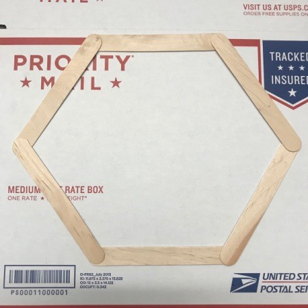 Floral Framed Collage - craft stick hexagon