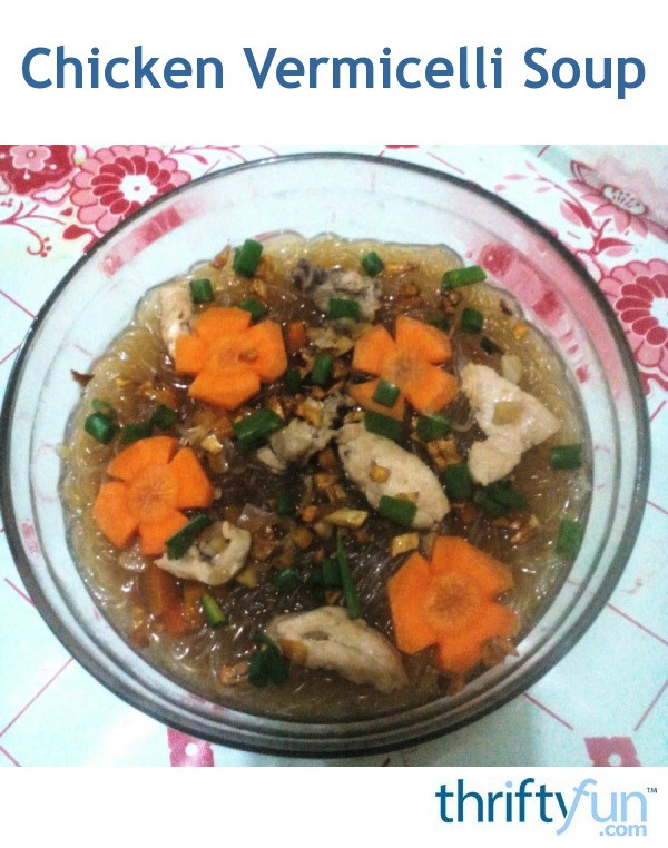 Chicken Vermicelli Soup | ThriftyFun