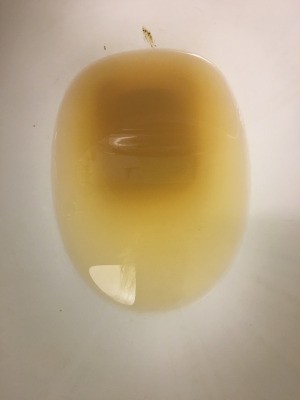 Milky Rusty Water from Well - brownish water in toilet