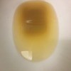 Milky Rusty Water from Well - brownish water in toilet