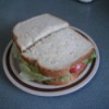 Cut Tomato Sandwich on plate