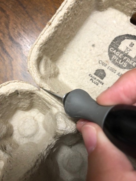 Egg Carton Sail Boat - cut off the top and flap on the carton