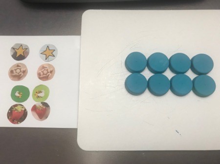 Matching Game Made with Water Bottle Caps - image circles and dry caps
