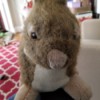 Value of a Childhood Stuffed Rabbit - closeup of a stuffed bunny