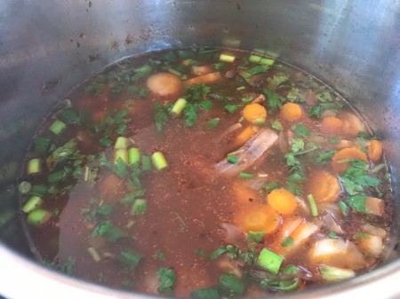 Beef Shank Vegetable Broth Soup with added green onions