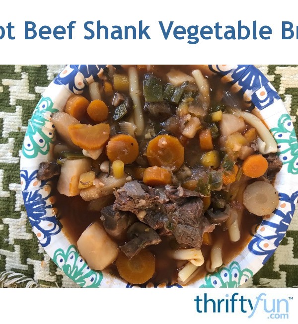Instant Pot Beef Shank Vegetable Broth Soup | ThriftyFun