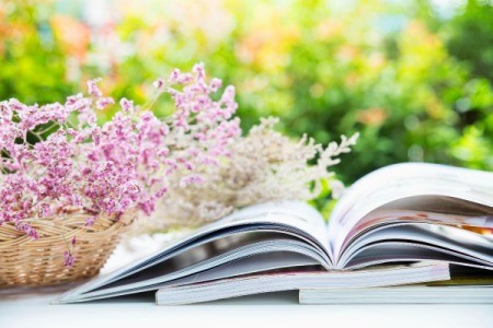 pile of books in garden.