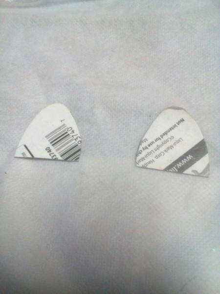 Piggy Bank with Money Separator - cut out two ears