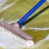 Leaky carpet shampooer brush on olive green carpet.
