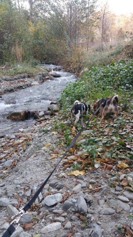A view of a river in the San Bernardino mountains in CA.
