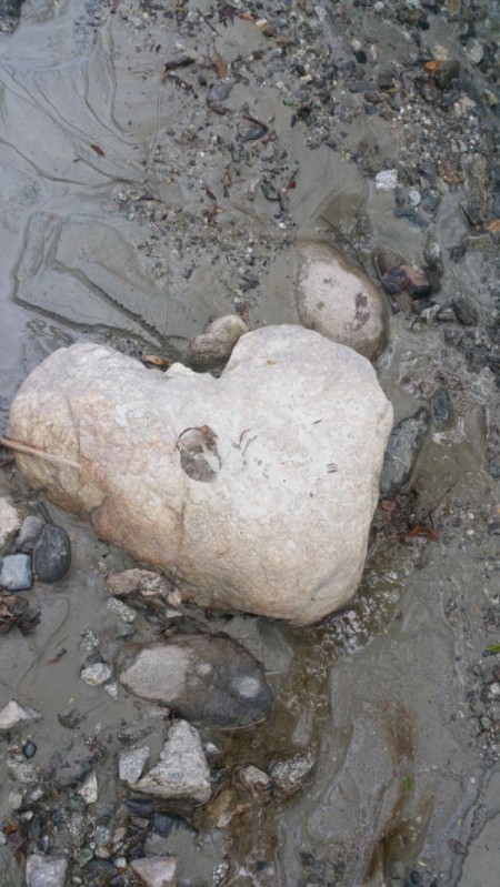 A heart shaped rock found in the river.